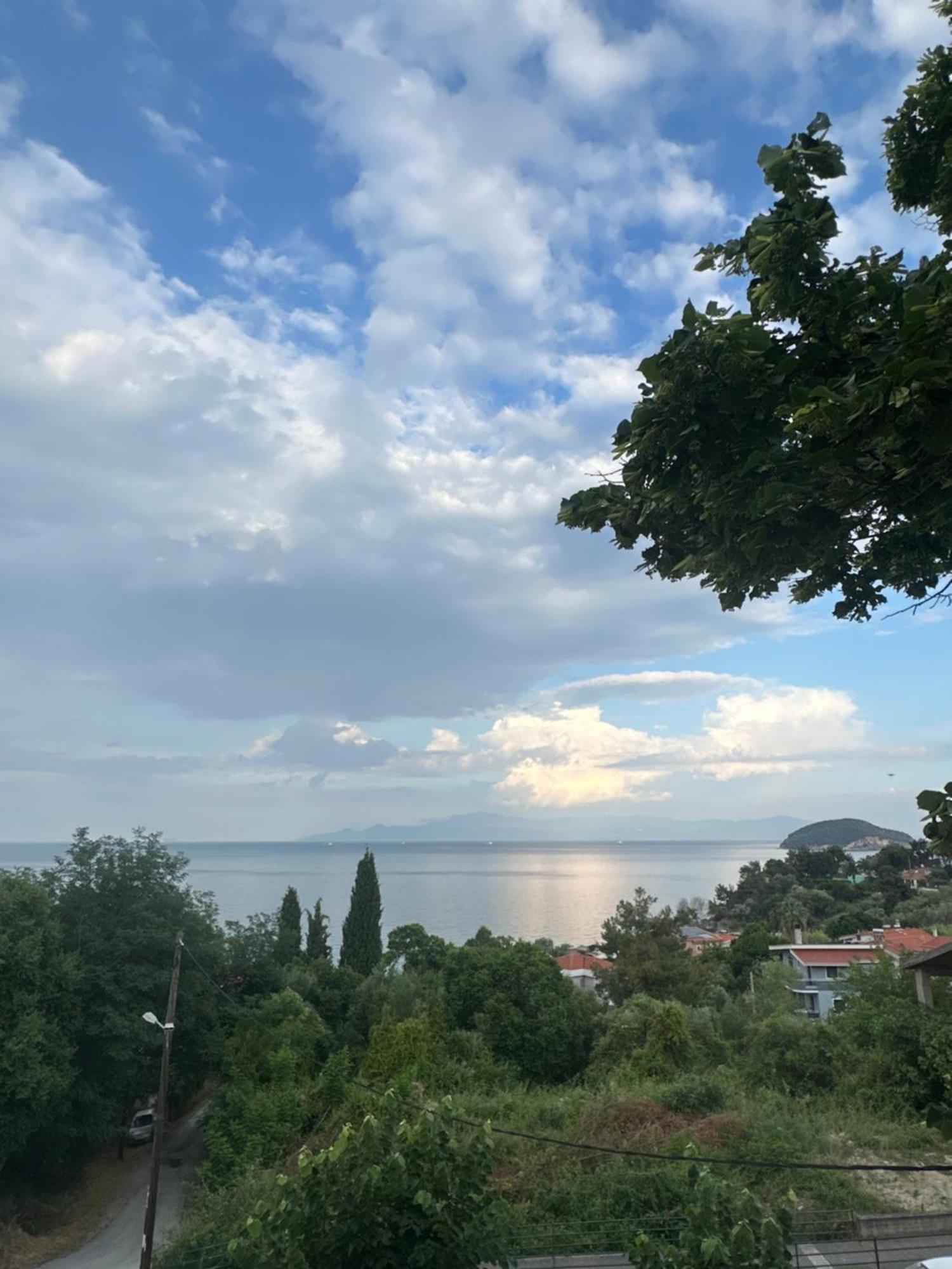 Apartamento Olivia -Ελιά PalaiónTsiflíkion Exterior foto
